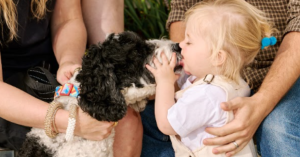 pets