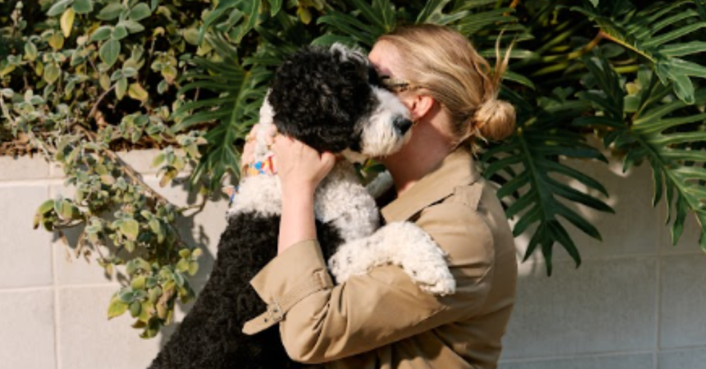 pets
